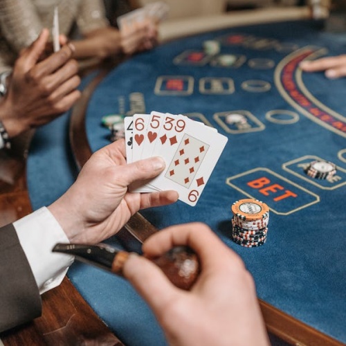 Evostoto Membuka Level Baru Keseruan Togel Online